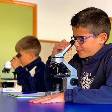 Estudio y deberes